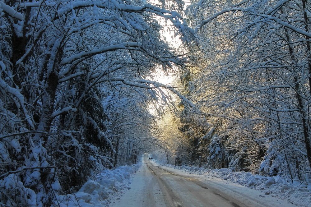Фотография автора Алла Бойко