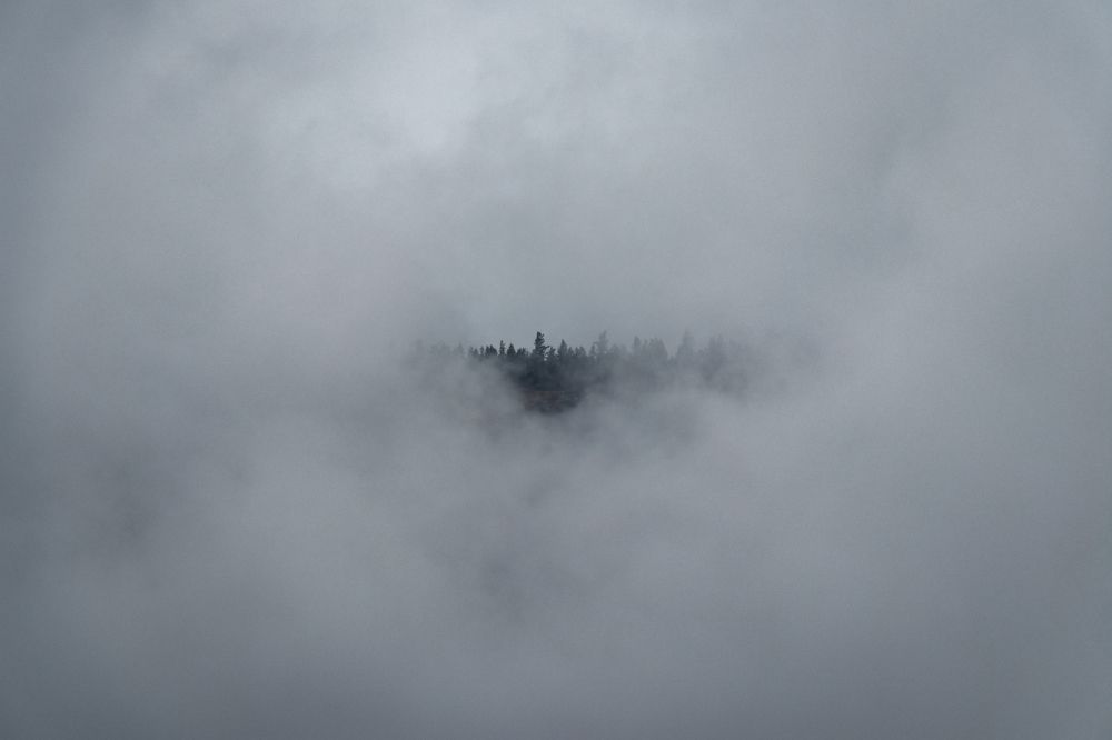 Photograph by Юлия Гринвальд