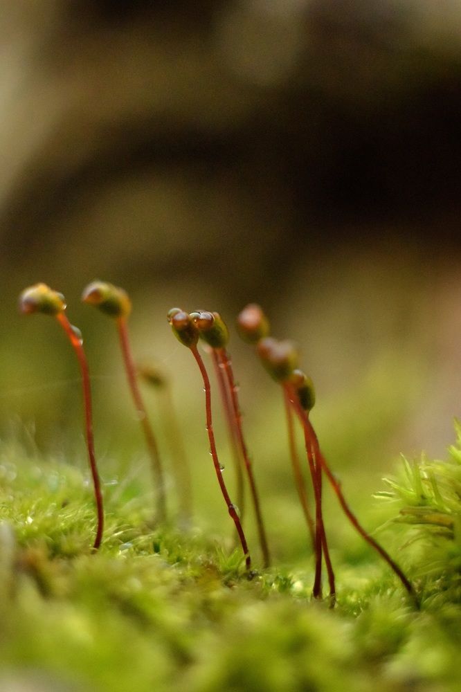 Photograph by Марина Крюкова