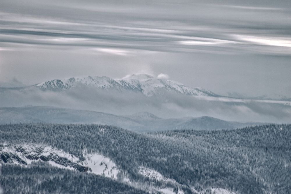 Photograph by Anastasia Anikina