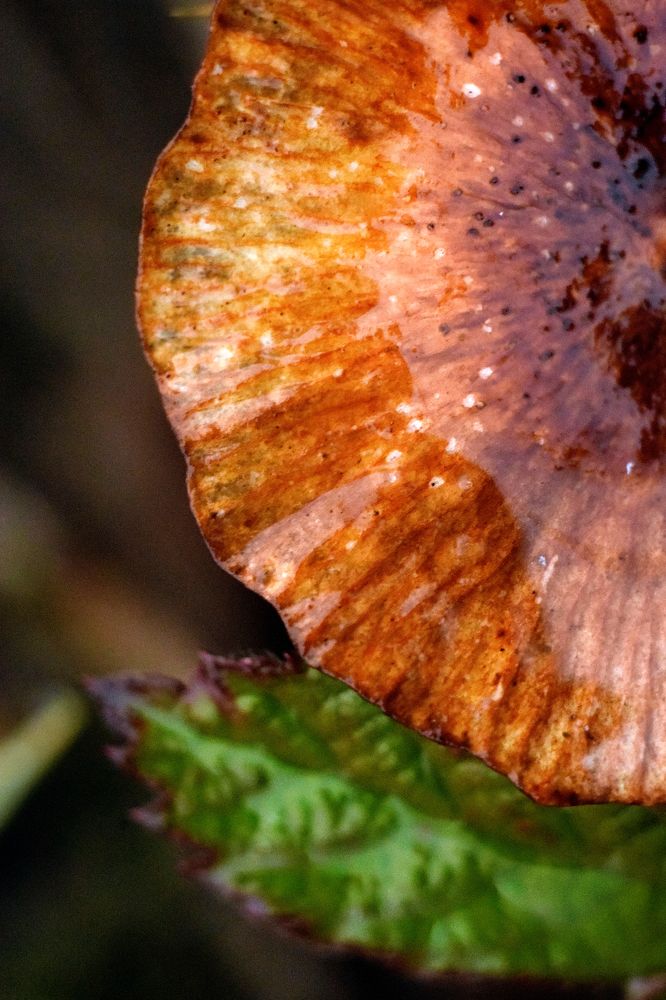 Photograph by Марина Крюкова