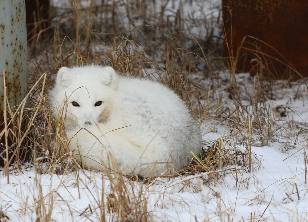 Фотография автора Владимир Кулешов