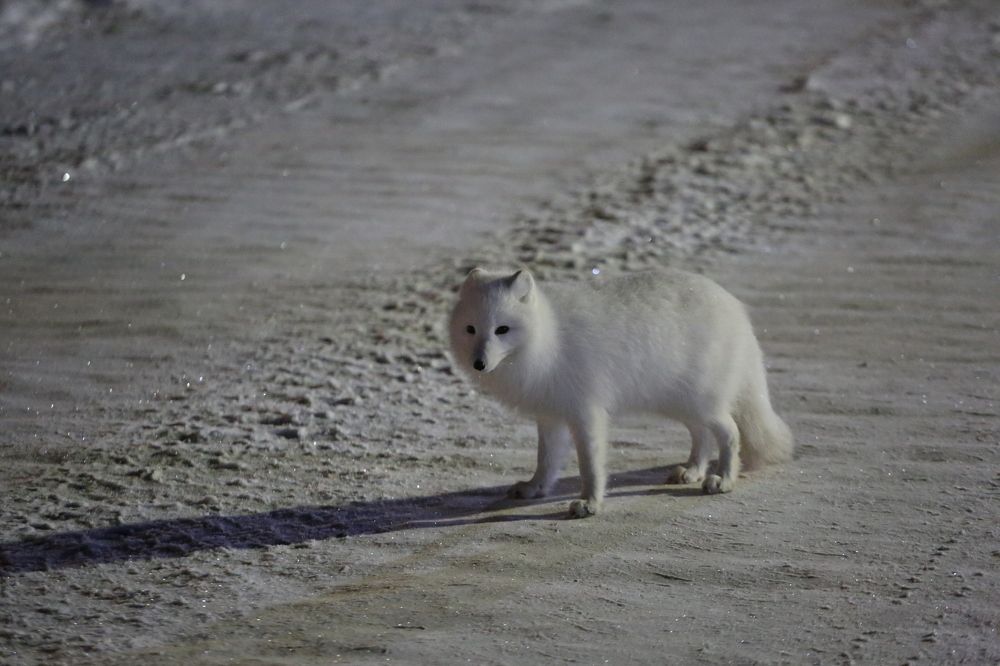 Фотография автора Владимир Кулешов