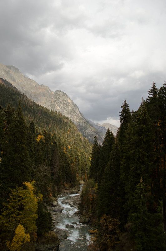Дарья, Russia