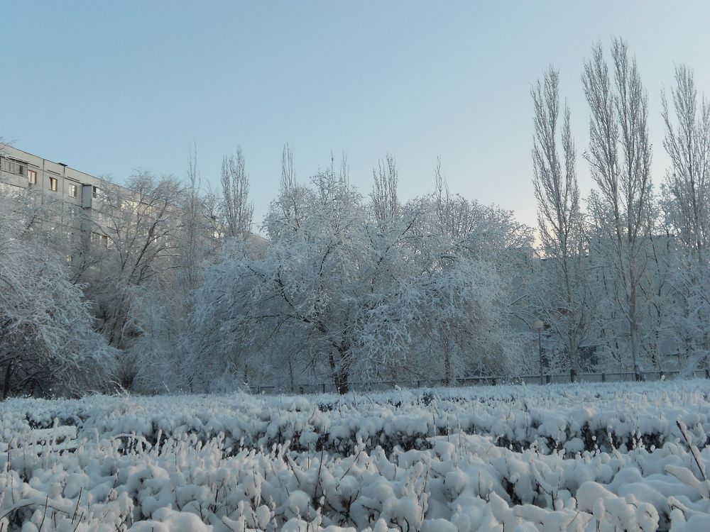 Фотография автора Любовь Панфилова