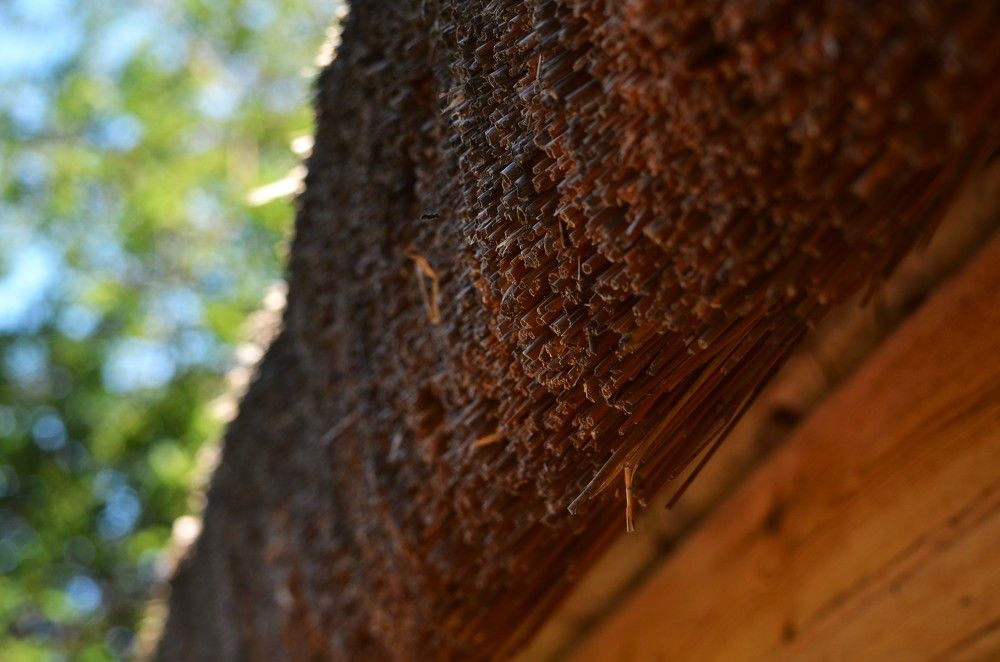 Photograph by Lyubov Makuha