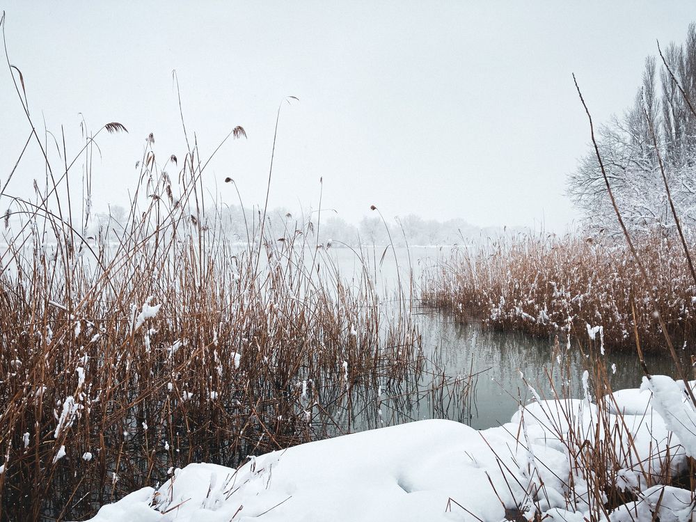 Зима на Солнечном острове
