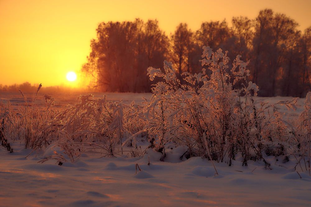 Photograph by Владимир Малевич