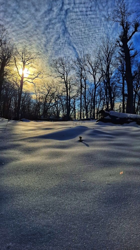 غروب خورشید در جنگل برفی \