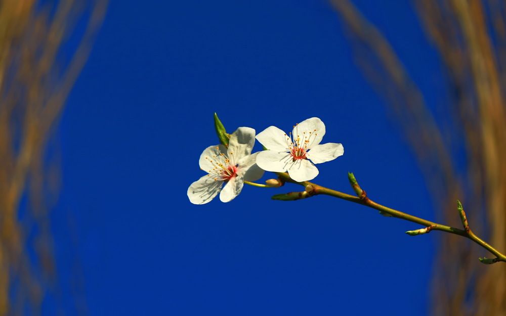 Photograph by Сергей Кульков