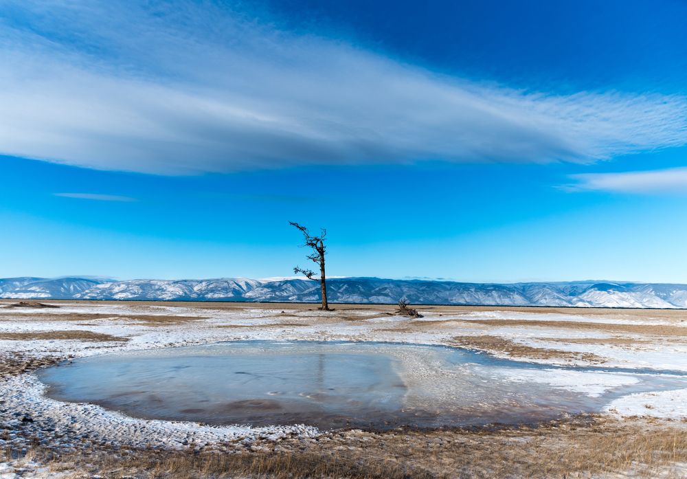 Фотография автора Марина Корреа Ластра