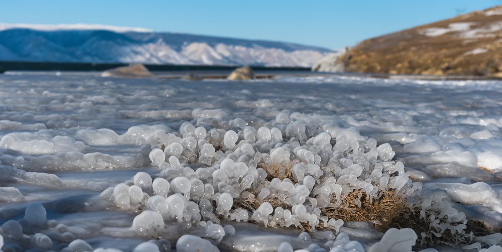 Фотография автора Марина Корреа Ластра