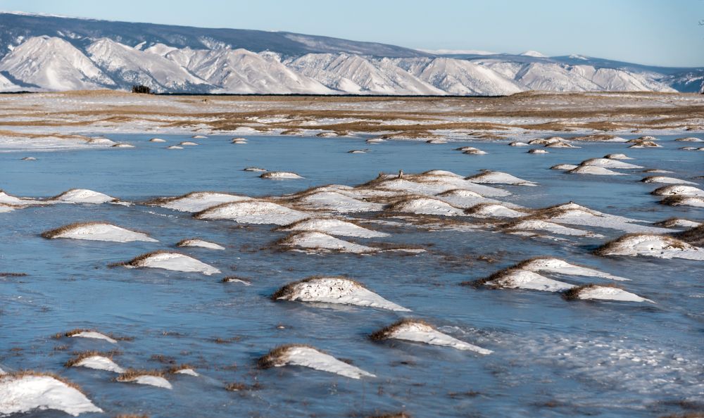 Фотография автора Марина Корреа Ластра