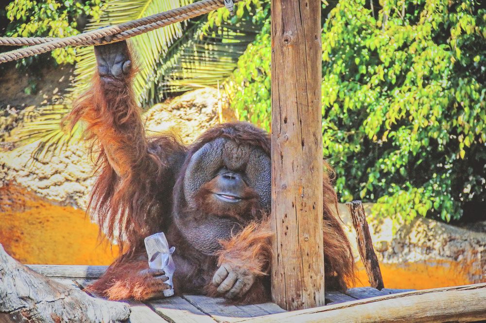 Photograph by Aleksandr Larionov