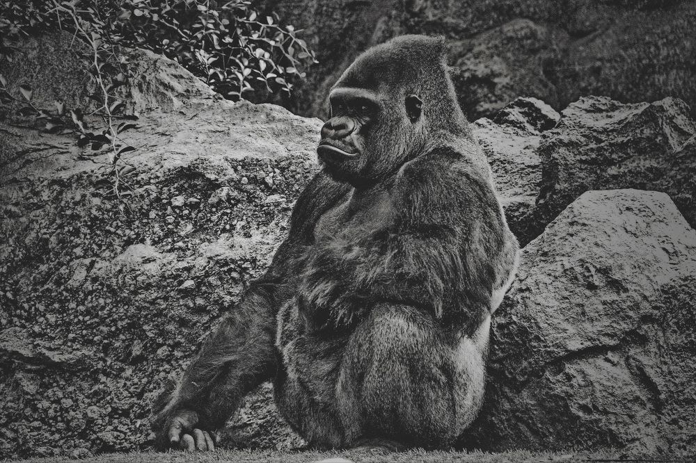 Photograph by Aleksandr Larionov