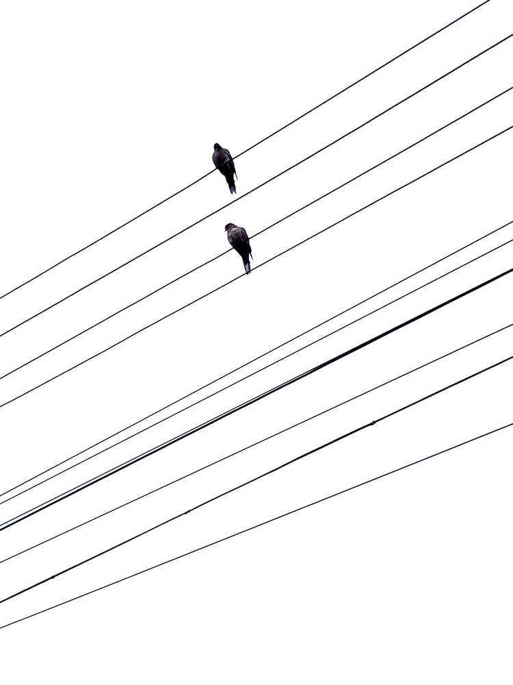 Photograph by Светлана Зубанова