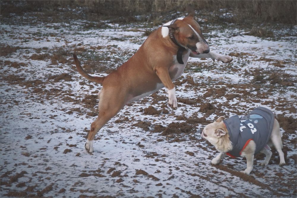 Photograph by Aleksandr Larionov