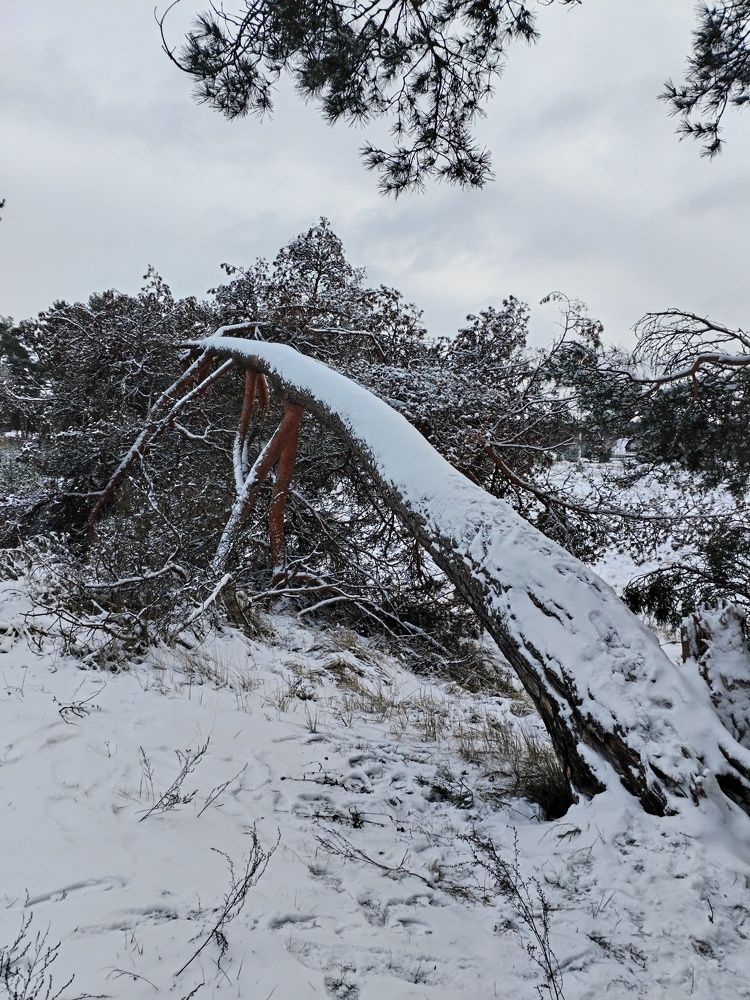Фотография автора Юлия Ю.