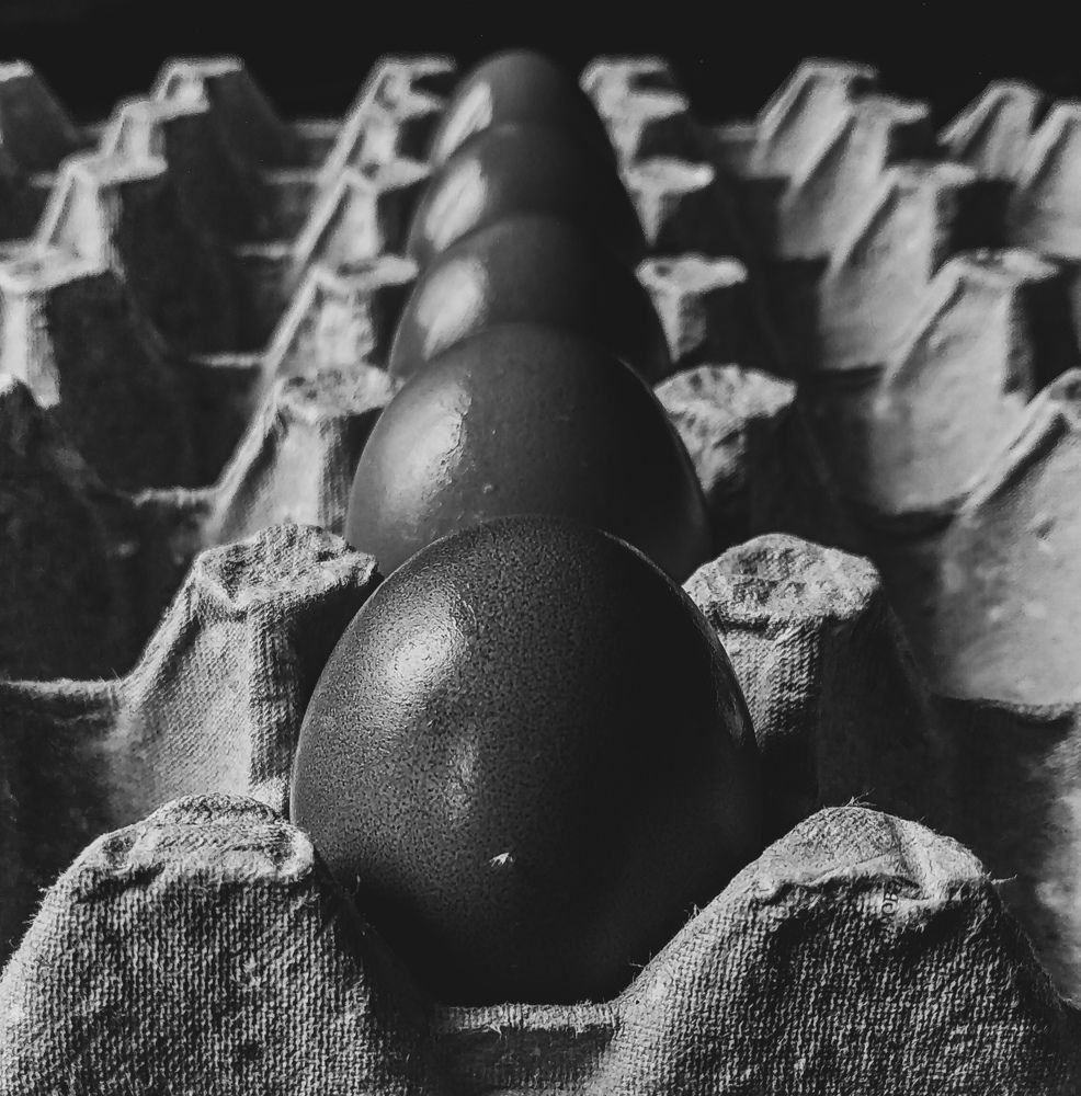 Photograph by Юлия Якубова