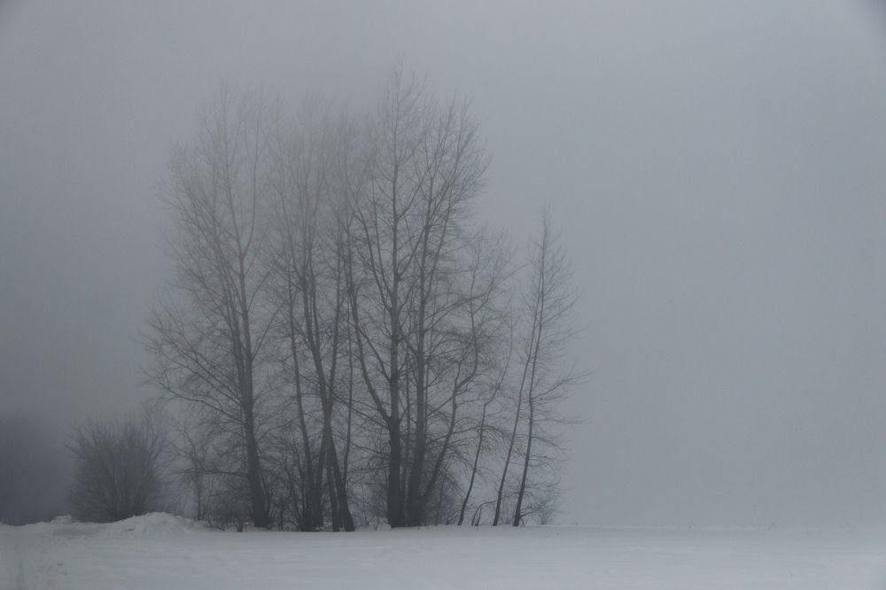 Photograph by SLAVA POTOCKIJ