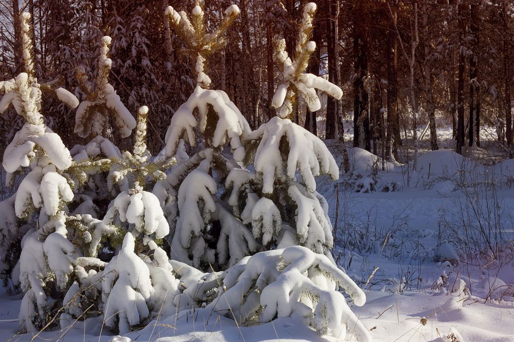 Photograph by Ульяна Северинова