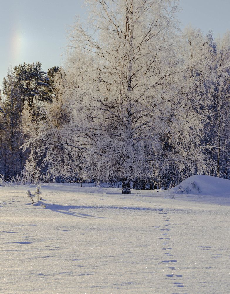 Photograph by Виктория Валерьевна