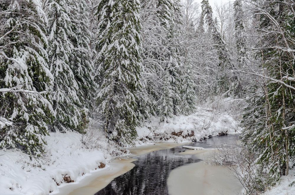 Photograph by Виктория Валерьевна