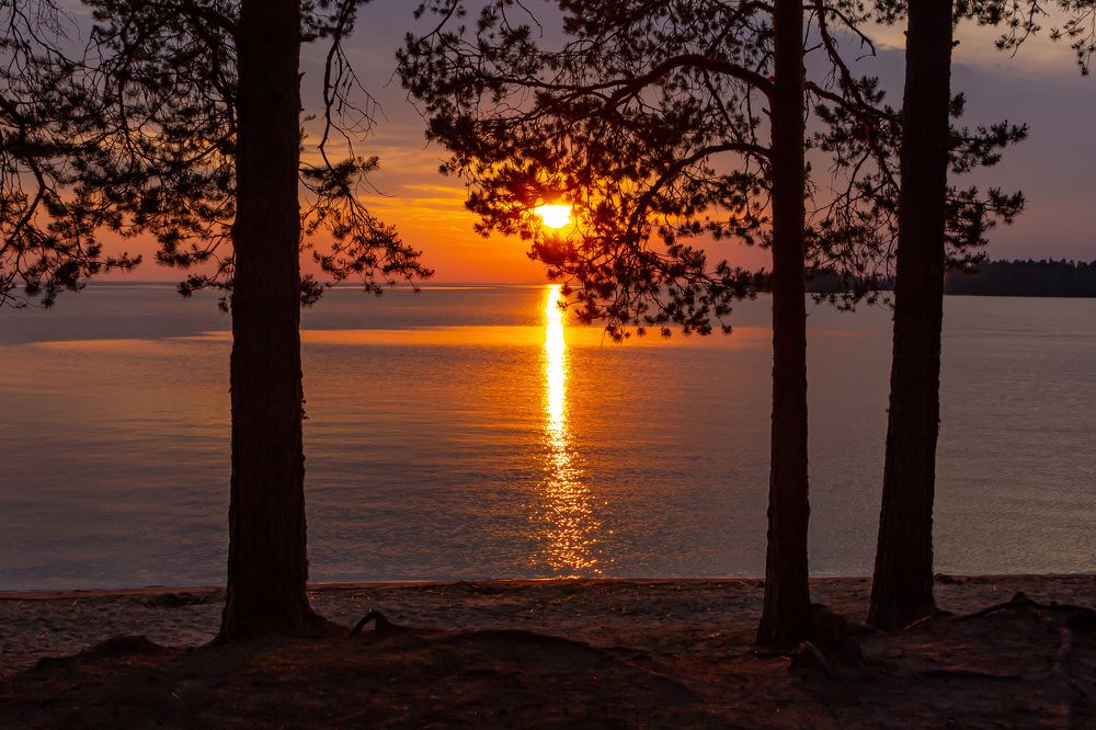 Фотография автора Алексей Бирин
