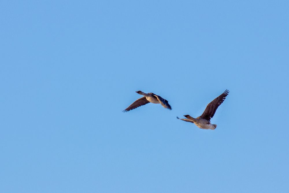 Фотография автора Юрий Фефилов