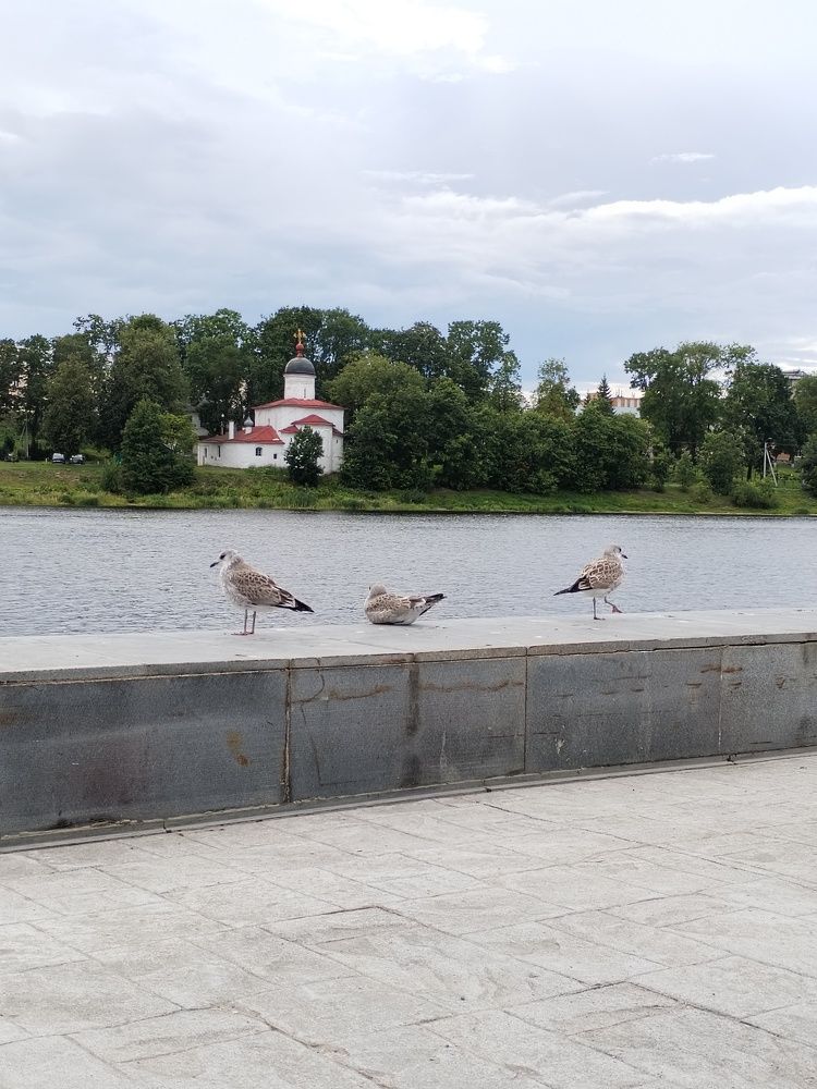 Фотография автора Юлия Ю.