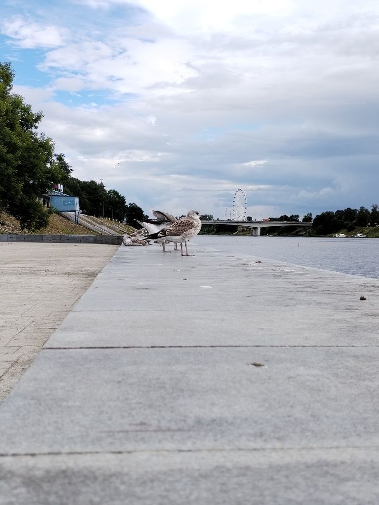 Фотография автора Юлия Ю.