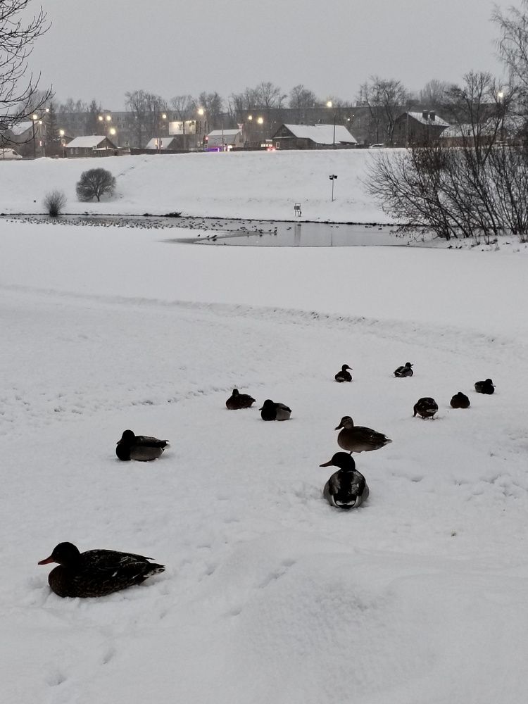 Фотография автора Юлия Ю.