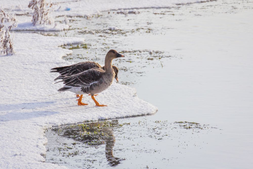 Фотография автора Юрий Фефилов