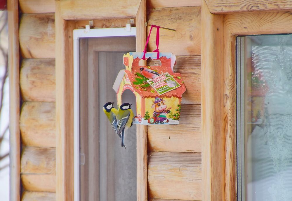 Photograph by Василий Быстрицкий