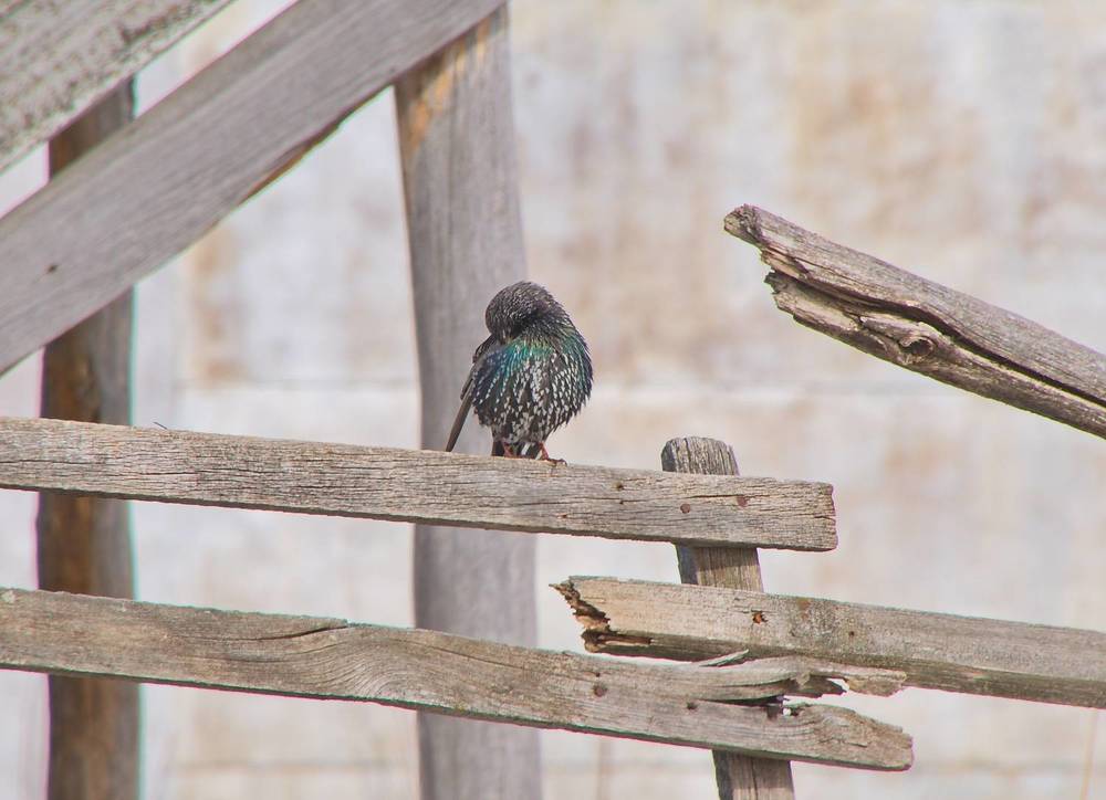 Photograph by Василий Быстрицкий