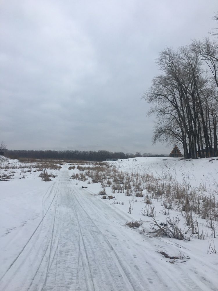 Фотография автора Балановская Виктория
