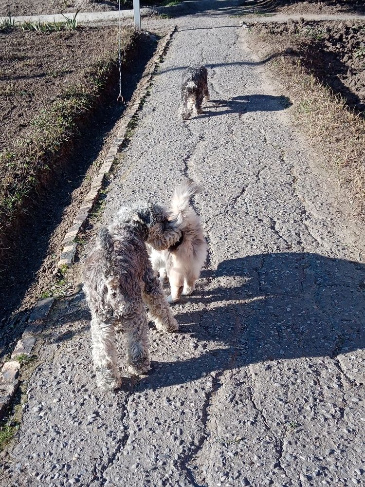 Photograph by Светлана Зубанова