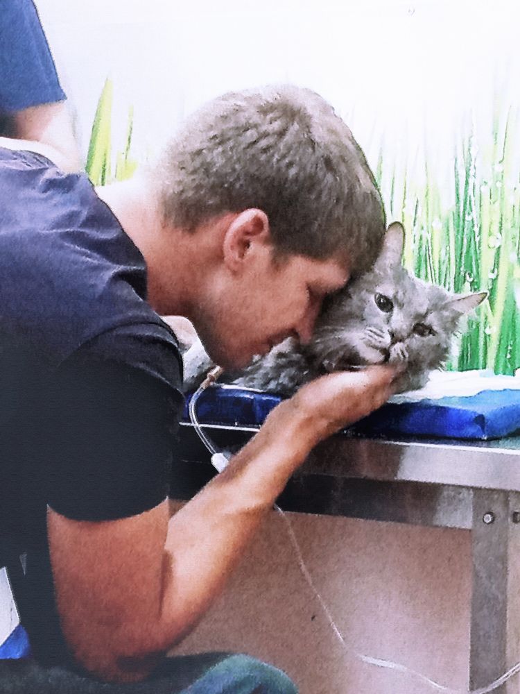 Photograph by Светлана Зубанова