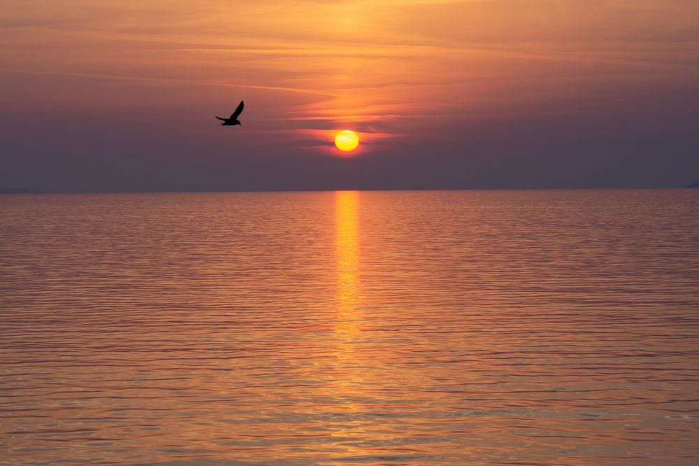 Photograph by Наталья Кудряшова