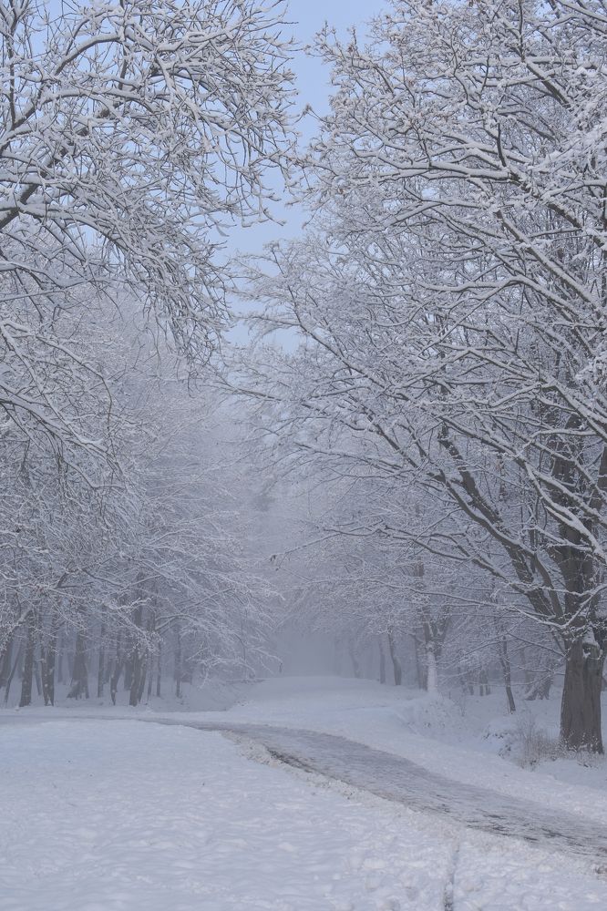 Photograph by Наталья Кудряшова