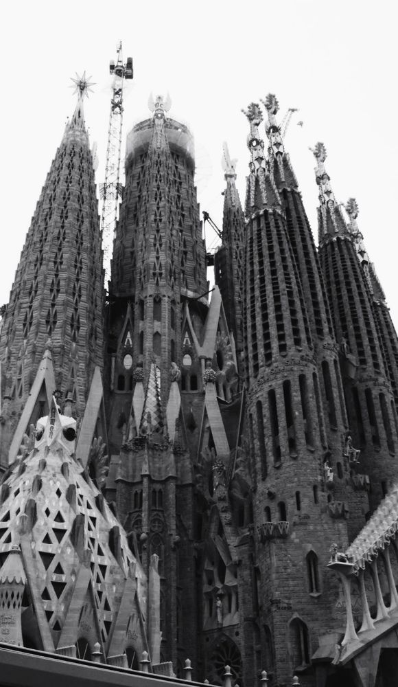 Фотография автора Roger Laverde