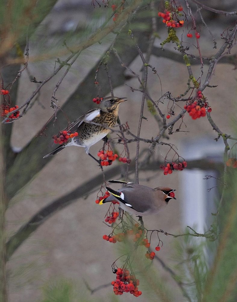 Фотография автора Владимир Кулешов