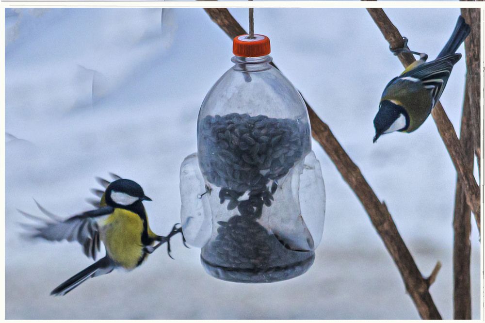 Photograph by миша