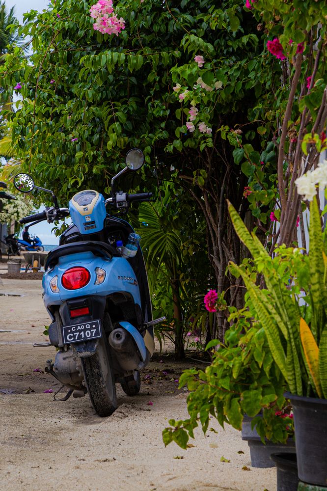 Photograph by Ivan Suslov