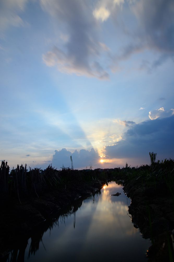 Photograph by Bùi Nguyễn