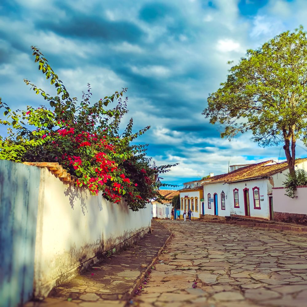 Фотография автора Jamilya Tapaskhanova