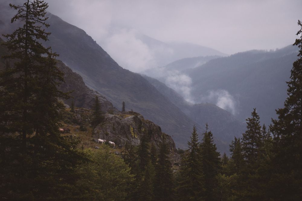 Photograph by Юлия Гринвальд