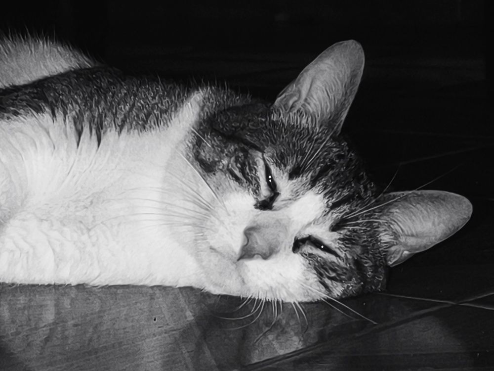 Фотография автора Roger Laverde