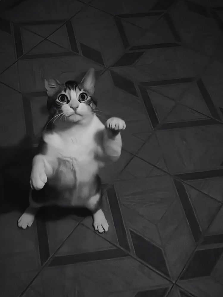 Фотография автора Roger Laverde