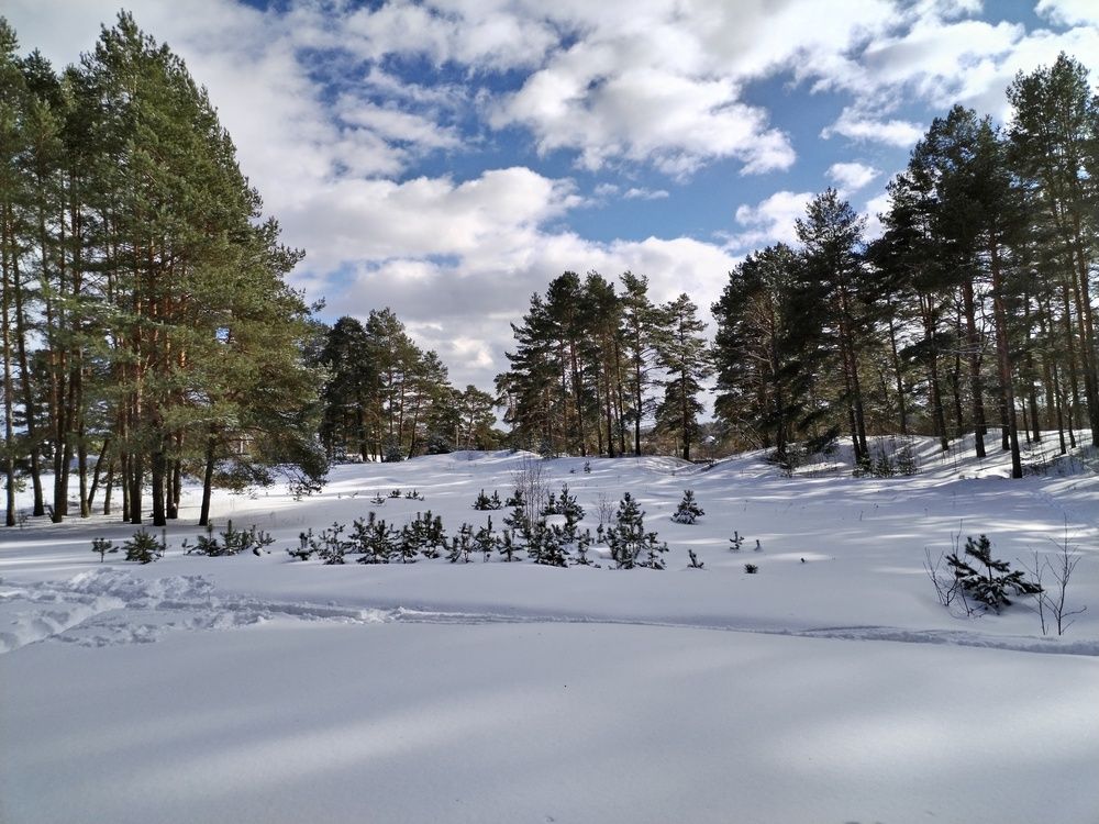 Фотография автора Юлия Ю.